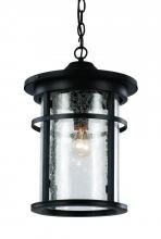 Trans Globe 40385 BK - 1LT HANGING LANTERN-MD-SEEDED